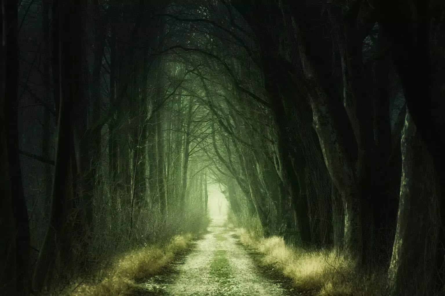 How Is Fear Depleting Your Health?