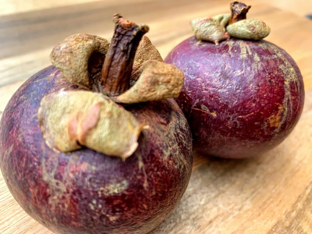 MANGOSTEEN