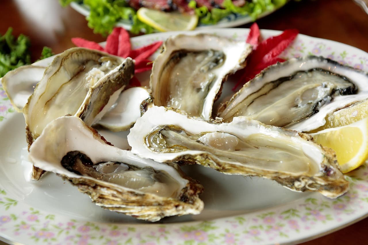 Oysters and Zinc