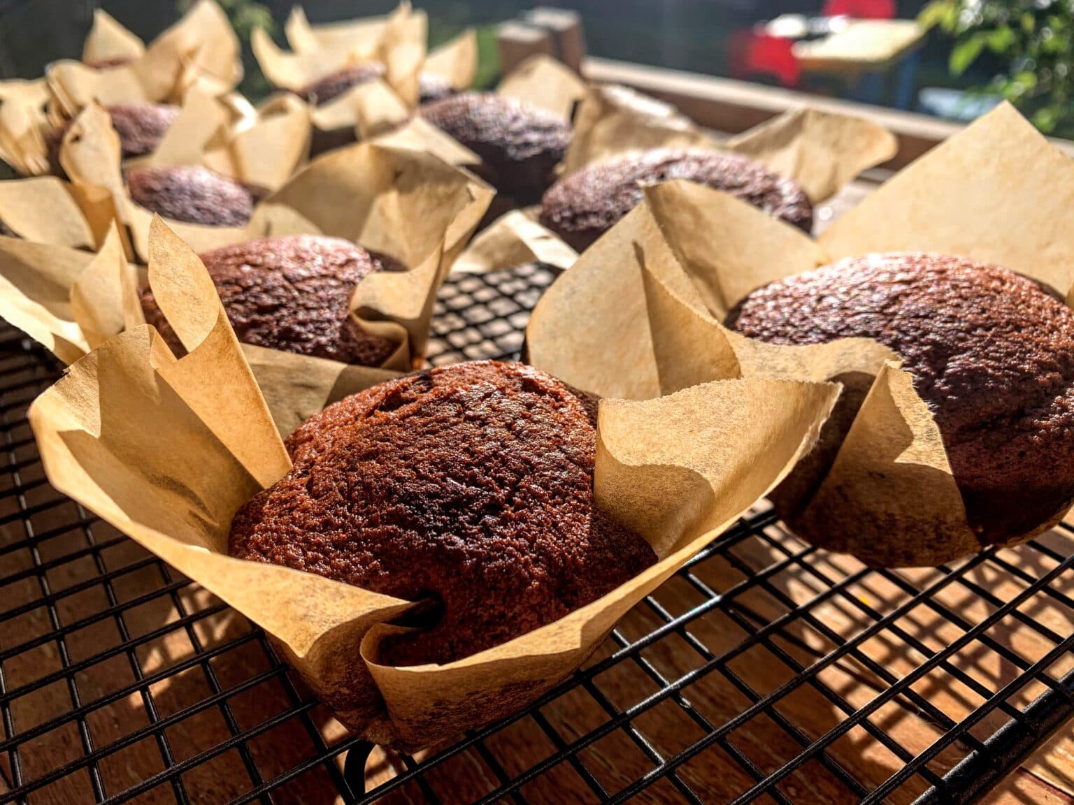 Super Moist Chocolate Muffins